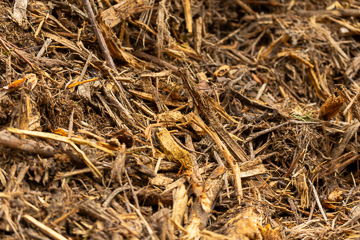 Grobe Holzteile werden zu Energieholz