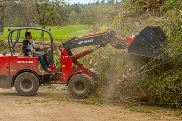 Grünabfälle werden sortiert nach Grünzeug und Holz