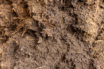 Fertiger Kompost für die landwirtschaftliche Verwendung