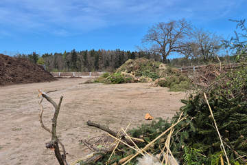 Kompostplatz Etter mit Haufen für Grünabfälle